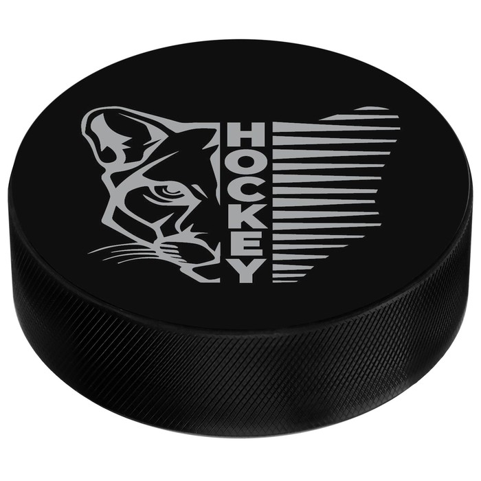 Шайба хоккейная Winter Star, взрослая, d=7,6 см Шайба хоккейная Winter Star, взрослая, d=7,6 см