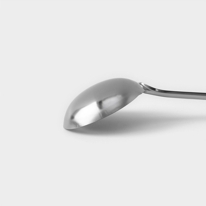 Половник из нержавеющей стали Доляна «Стандарт», 100 мл, h=31 см, цвет серебряный Половник из нержавеющей стали Доляна «Стандарт», 100 мл, h=31 см, цвет серебряный