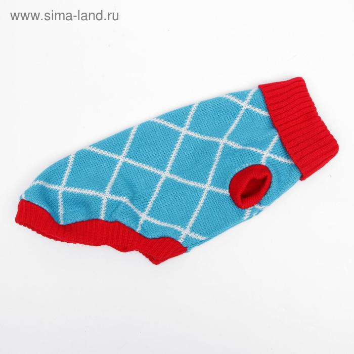 Свитер, размер 18 (ДС 50-65, ОШ 22-37, ОГ 38-53 см), микс расцветок Свитер, размер 18 (ДС 50-65, ОШ 22-37, ОГ 38-53 см), микс расцветок