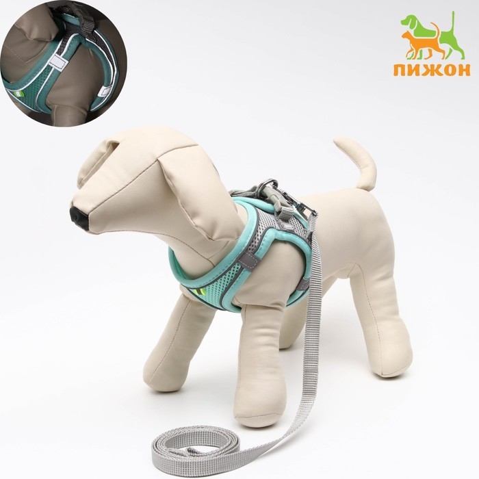 Комплект с мягкой шлейкой, быстросъемный, S, поводок 150 х 1,5 см, ОШ 33-36 см, ОГ 35-40 см, бирюз Комплект с мягкой шлейкой, быстросъемный, S, поводок 150 х 1,5 см, ОШ 33-36 см, ОГ 35-40 см, бирюз