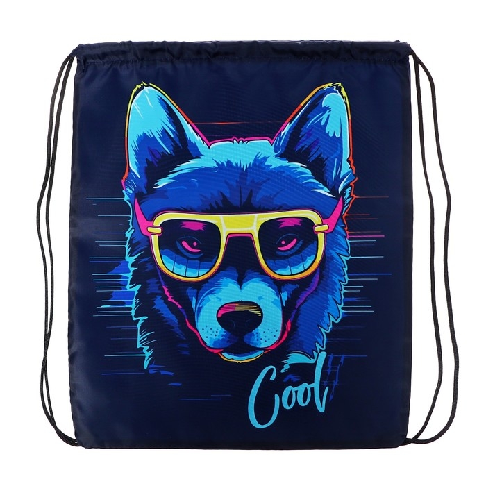 Мешок для обуви 420 х 340 мм, Calligrata МСО-5С, (мягкий полиэстер, плотность 210D),  Мешок для обуви 420 х 340 мм, Calligrata МСО-5С, (мягкий полиэстер, плотность 210D), "Собака в очках"