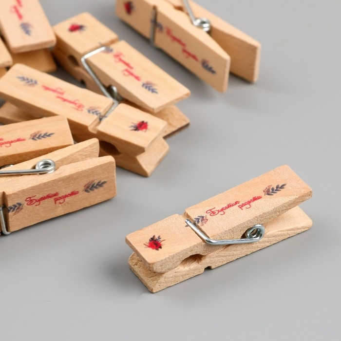 Декор для творчества дерево Декор для творчества дерево "Прищепка - Букетик радости" набор 10 шт