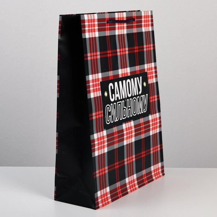 Пакет подарочный ламинированный, упаковка, Real strong, L 28 х 38 х 9 см Пакет подарочный ламинированный, упаковка, Real strong, L 28 х 38 х 9 см
