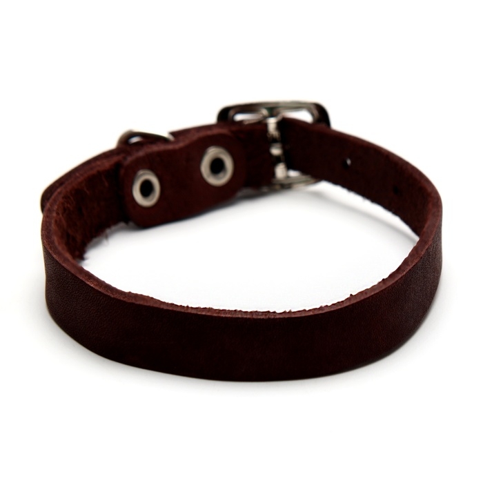Ошейник кожаный однослойный, 30 х 1 см, ОШ 19-27 см, коричневый Ошейник кожаный однослойный, 30 х 1 см, ОШ 19-27 см, коричневый
