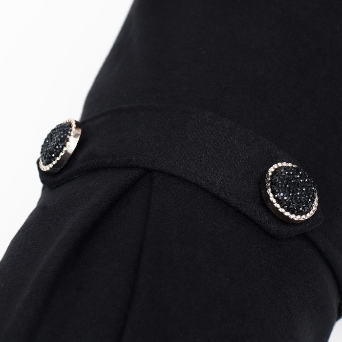 Пальто для собак, размер XS (ДС 20, ОГ 29-30, ОШ 20-21 см), чёрное Пальто для собак, размер XS (ДС 20, ОГ 29-30, ОШ 20-21 см), чёрное