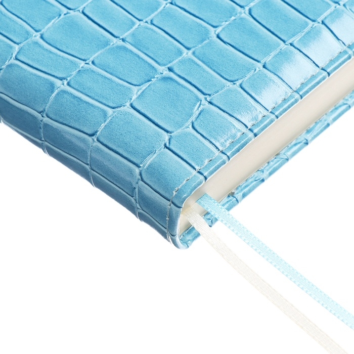 Ежедневник датированный 2025 года A5, 168 листов, deVENTE. Barbara, твердая обложка кожзам с поролоном, перфорацией, ляссе, блок 70, голубой Ежедневник датированный 2025 года A5, 168 листов, deVENTE. Barbara, твердая обложка кожзам с поролоном, перфорацией, ляссе, блок 70, голубой