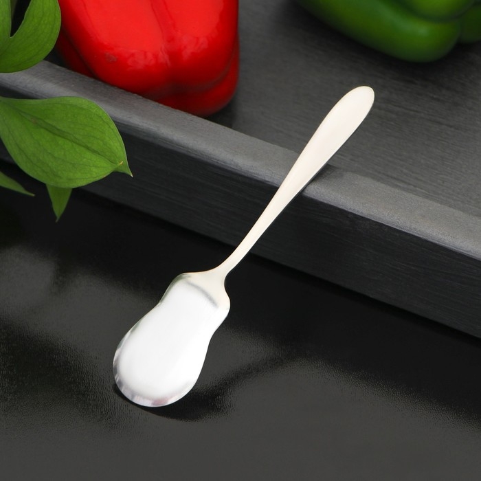 Тёрка для сыра Доляна Steel, 13,5×3 см, цвет серебристый Тёрка для сыра Доляна Steel, 13,5×3 см, цвет серебристый