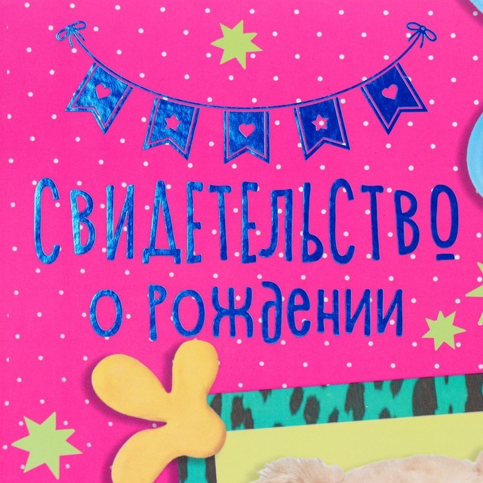 Свидетельство о рождении  Свидетельство о рождении "Мишка" тиснение, очки, А5