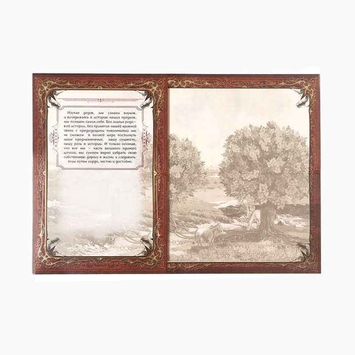 Родословная книга в шкатулке с деревом «Книга моей семьи», 20 х 26 см.