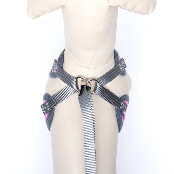 Комплект амуниции с мягкой шлейкой, S, поводок 120 х 1 см, ОШ 20-40 см, ОГ 30-44 см, розовый   78689 Комплект амуниции с мягкой шлейкой, S, поводок 120 х 1 см, ОШ 20-40 см, ОГ 30-44 см, розовый   78689