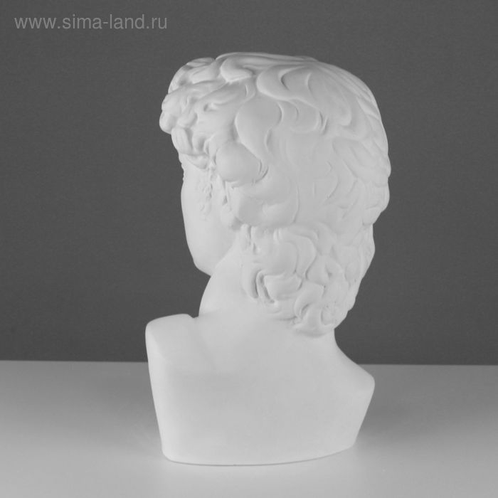 Гипсовая фигура Давида Микеланджело, 30 х 28 х 46 см Гипсовая фигура Давида Микеланджело, 30 х 28 х 46 см