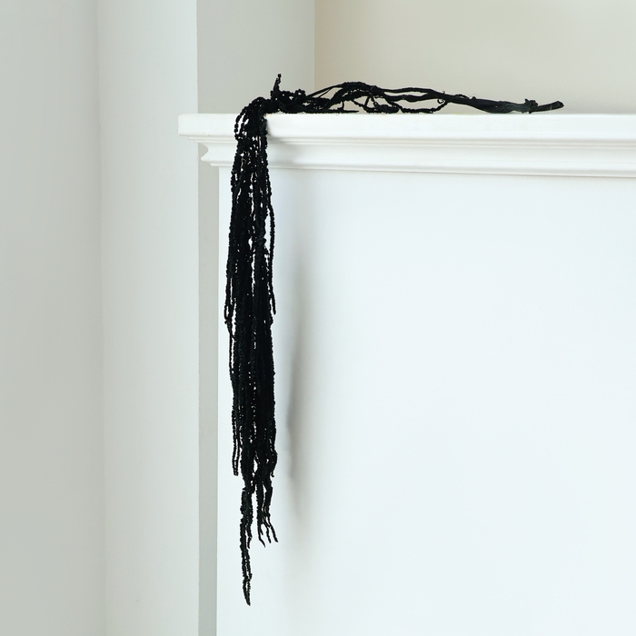 Сухие цветы амаранта, 100 г, размер листа: от 50 до 60 см, цвет чёрный Сухие цветы амаранта, 100 г, размер листа: от 50 до 60 см, цвет чёрный