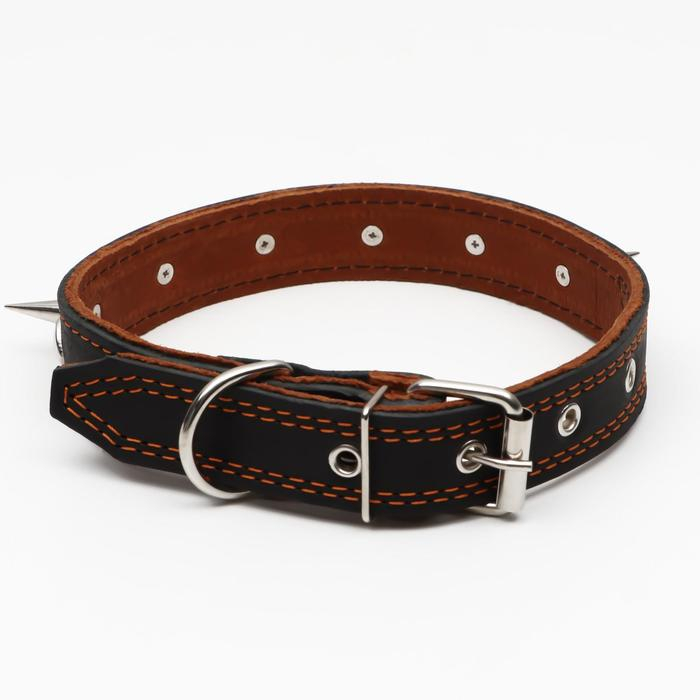 Ошейник кожаный двухслойный  шипованный, 63 х 3 см, ОШ 40-55 см, чёрный Ошейник кожаный двухслойный  шипованный, 63 х 3 см, ОШ 40-55 см, чёрный