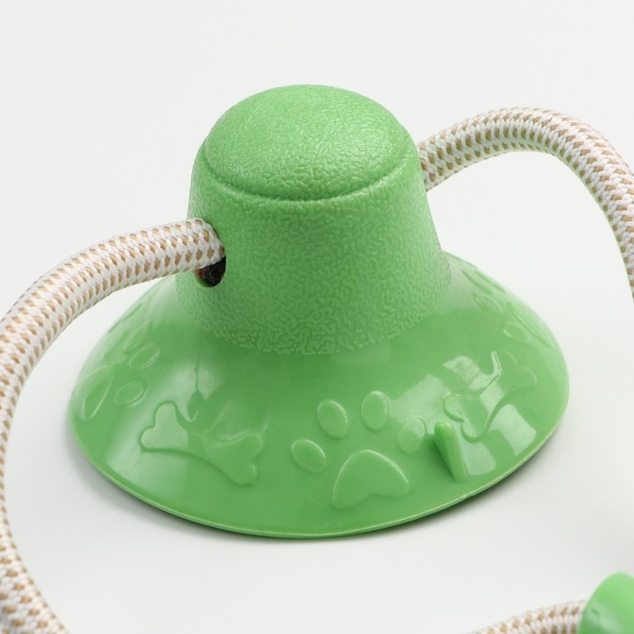 Игрушка для собак Игрушка для собак "Кольца с шипами на присоске", 40 см, зелёная/голубая/красная