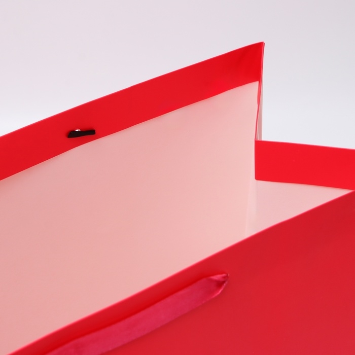 Пакет ламинированный вертикальный "Фуксия", XL 40 × 49 × 19 см