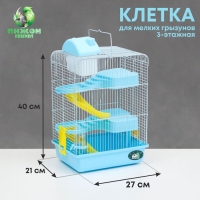 Клетка для мелких грызунов "Пижон", с наполнением, 27 х 21 х 40 см, голубая