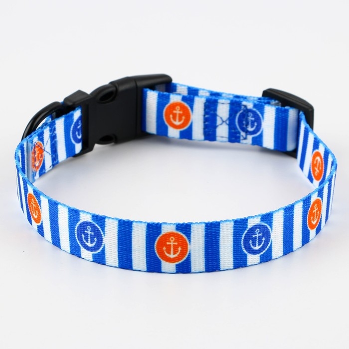 Ошейник «Для большого путешествия», застёжка - фастекс, 2 см 25-40 см Ошейник «Для большого путешествия», застёжка - фастекс, 2 см 25-40 см