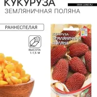 Семена Кукуруза &laquo;Земляничная Поляна&raquo;, декоративная, 14 шт., &laquo;Дом семян&raquo;