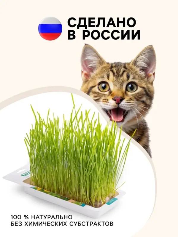 Трава TiTBiT для кошек, пшеница, 50 г Трава TiTBiT для кошек, пшеница, 50 г