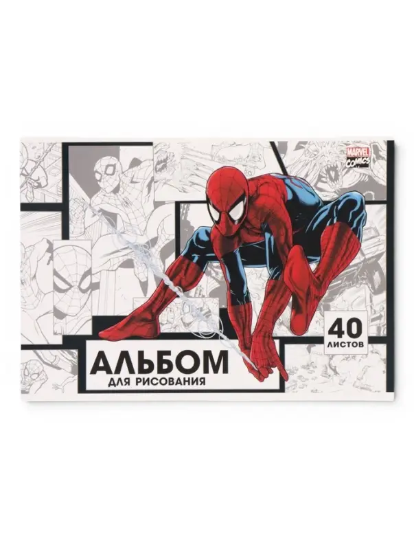 Альбом для рисования на склейке, А4, 40 листов, 90 г/м&sup2;, 2 штуки, &laquo;Паутина&raquo;