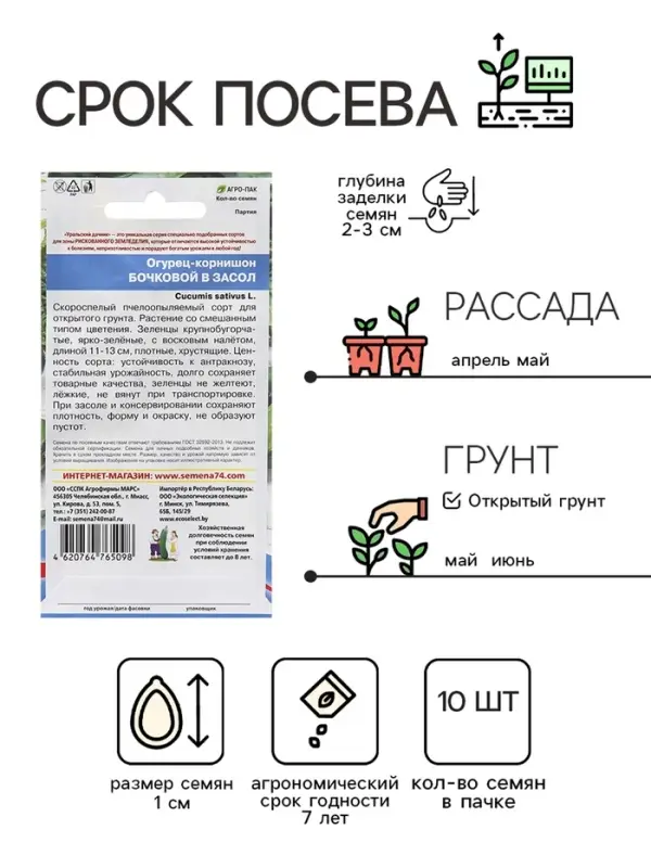 Семена Огурец "Бочковой в Засол - корнишон", 10 шт