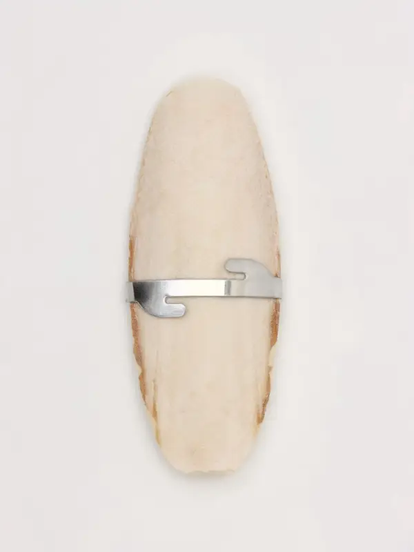 Панцирь каракатицы для птиц, 10-12 см, белый