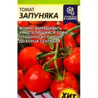 Семена Томат &laquo;Запуняка&raquo;, полудетерминантный, 0.05 г, &laquo;Семена Алтая&raquo;