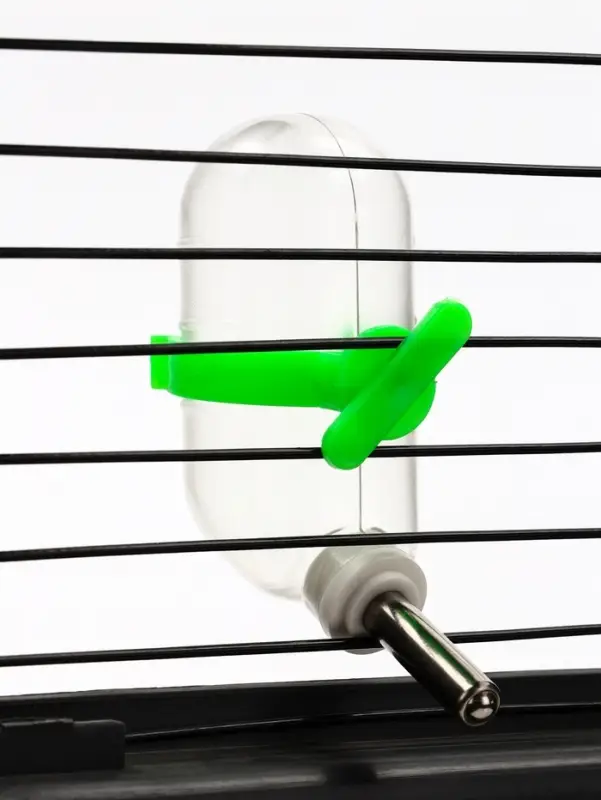 Поилка для грызунов, 60 мл, 12&times;4 см, с металлическим носиком, прозрачная, зелёное крепление