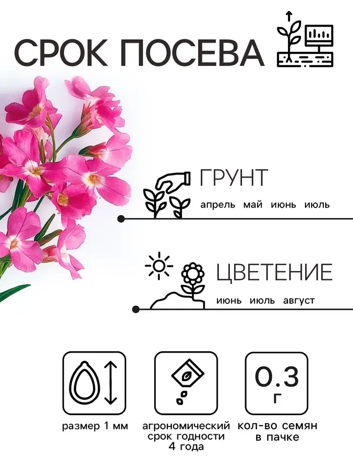 Семена цветов Маттиола двурогая "Вечерний аромат", смесь, 0,3 г Семена цветов Маттиола двурогая "Вечерний аромат", смесь, 0,3 г