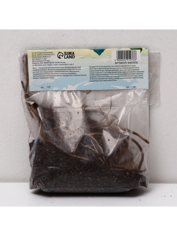 Хоста Canadian Blue, корневище в пакете с торфогрунтом, р-р I, размер SM,1 шт.