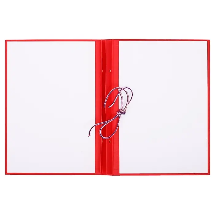 Папка &laquo;Дипломный проект&raquo; А4, бумвинил, гребешки/сутаж, без бумаги, красная, (вместимость до 300 листов)