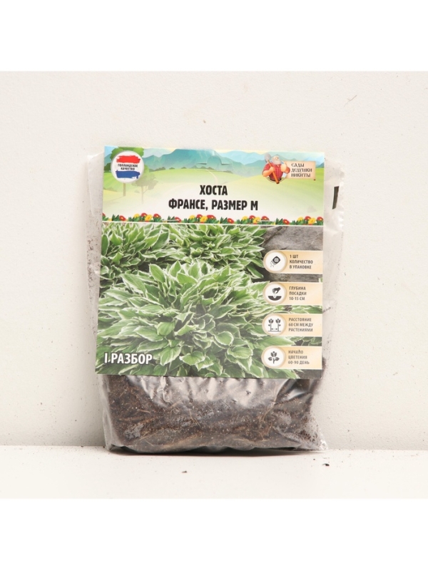 Хоста Francee, корневище в пакете с торфогрунтом, р-р I, размер M,1 шт.