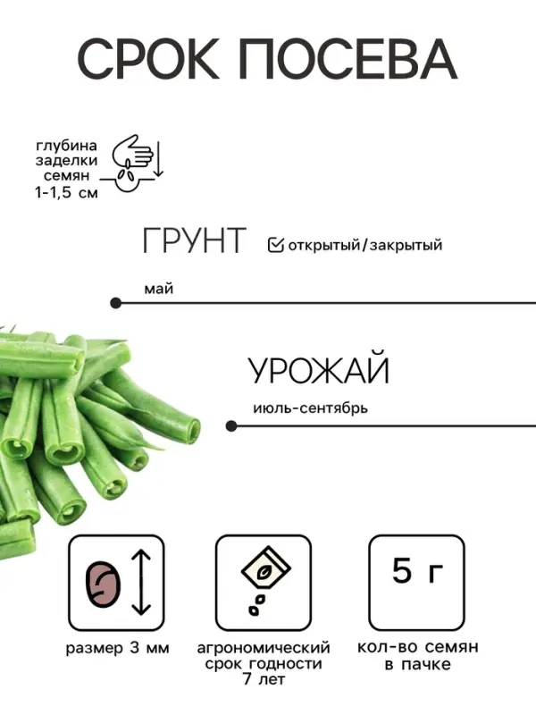 Семена Фасоль овощная &laquo;Виолетта&raquo;, 5 г, &laquo;Агрофирма АЭЛИТА&raquo;