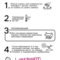 Семена цветов Аквилегия гибридная Желтая звезда, 0,05гр