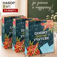Пакеты подарочные &laquo;Учителю&raquo;, набор 3 шт., 26&times;30&times;9 см