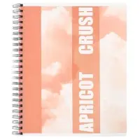 Компл тетр из 3шт 96л кл на гребне Apricot, обл мел карт, блок офсет 10296913