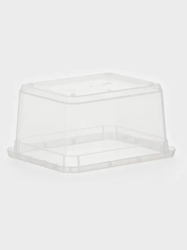 Контейнер для хранения Palm, 2 л, 19&times;15.3&times;9.8 см, с крышкой, прозрачный