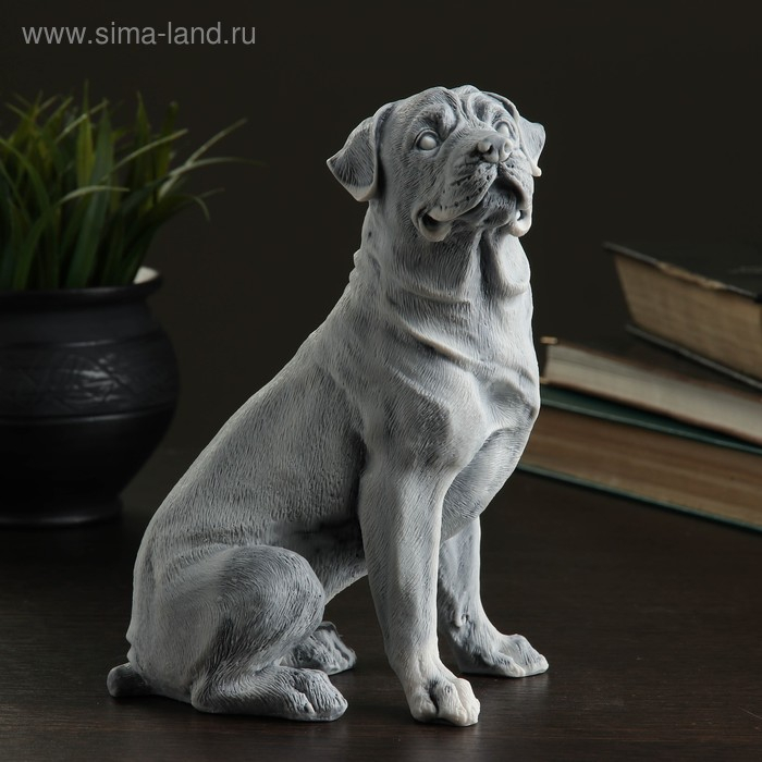 Сувенир  Сувенир "Ротвейлер (большой)" 19,5см