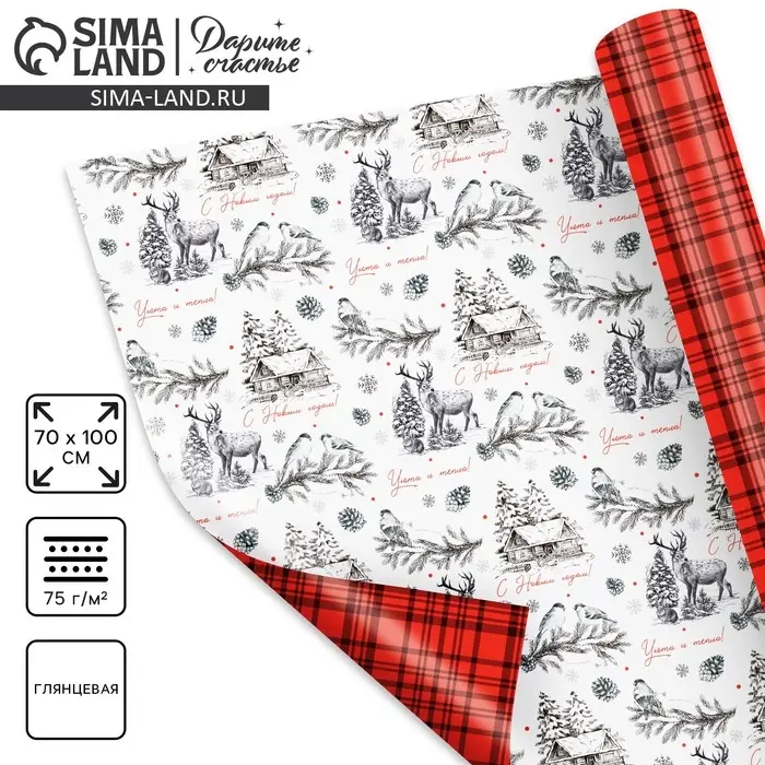 Бумага упаковочная глянцевая двухсторонняя «Новогодняя графика», 70 х 100 см