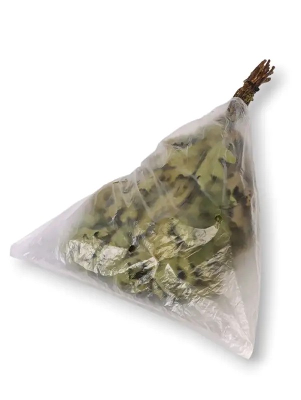 Веник для бани, дубовый, в пакете