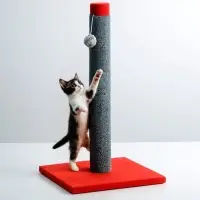 Когтеточка &laquo;Столбик&raquo; Lowcost, 54&times;31 см, с игрушкой, ковролин, МИКС