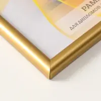 Фоторамка для фото "Vivo" 21х30 см,  набор 3 шт, (пластиковый экран), золото