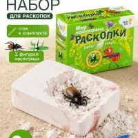 Набор для раскопок Dream Makers &laquo;Мир насекомых&raquo;, 2 фигурки