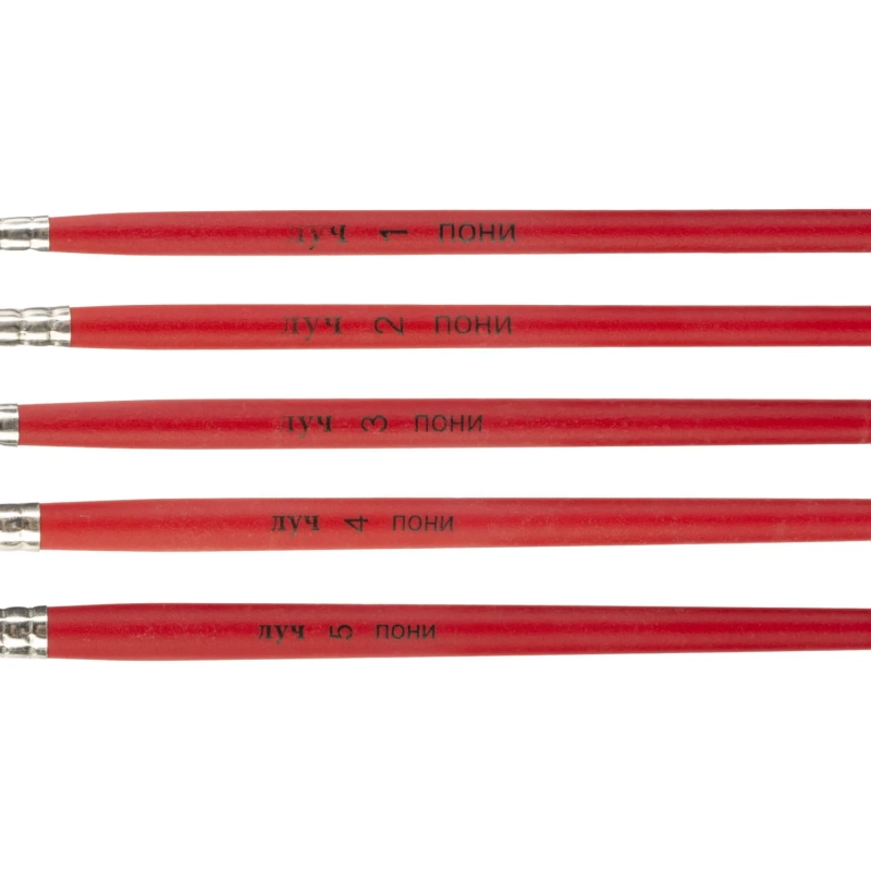 Набор кистей Классика цвета, 5 шт. ПОНИ (круглые №1,2,3,4,5) 33С 2178-08