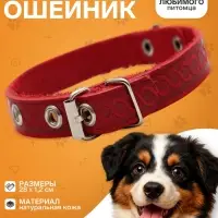 Ошейник, 1.2 см, ОШ 20-26 см, однослойный, неукрашенный, цвет и вид МИКС