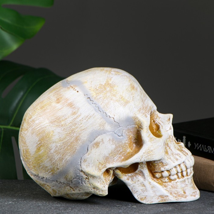 Копилка  Копилка "Череп" кость, 16х13х22см