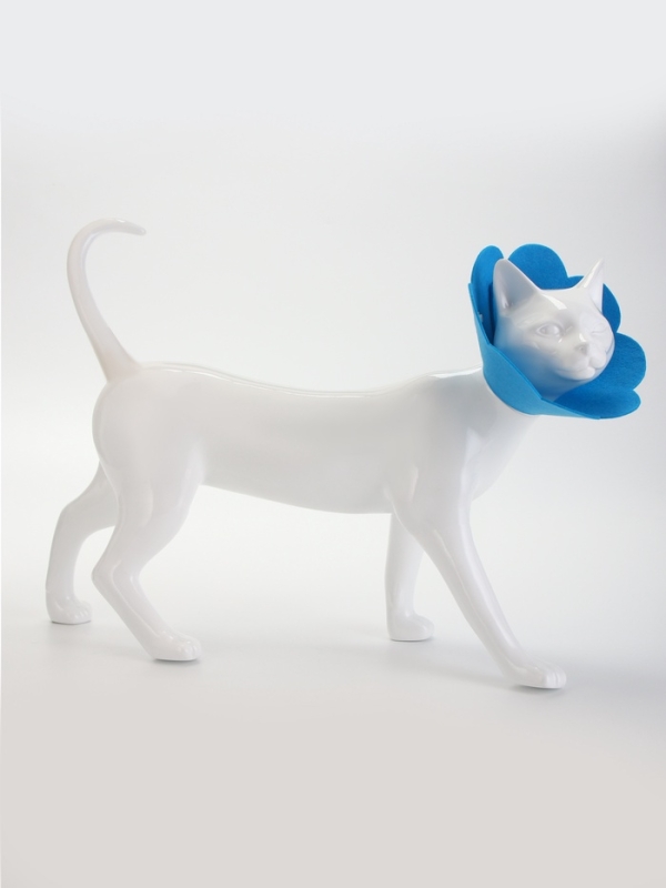 Ветеринарный воротник из фетра  Ветеринарный воротник из фетра "Ромашка", размер L, синий