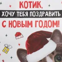 Пакет подарочный новогодний крафтовый &laquo;Котик&raquo;, 22&times;22&times;11 см