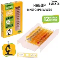 Набор для опытов &laquo;Набор микропрепаратов&raquo;, цветы