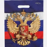 Пакет подарочный &laquo;Моя Россия&raquo;, полиэтиленовый с вырубной ручкой, 30&times;40 см 50 мкм